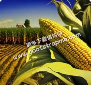 多元體育項目，滿足您的無限熱情 - kaiyun