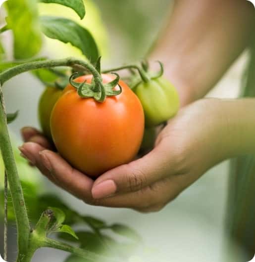 您的專屬體育資訊樞紐 - kaiyun