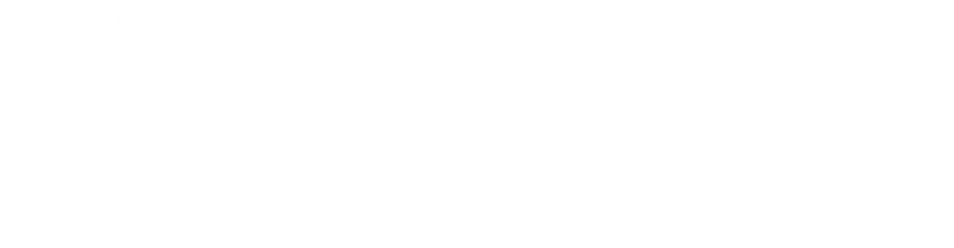 我们的服务内容 - kaiyun